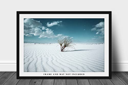 A sivatagi Fotózás Print (keret nélkül) a Képet a Yucca Növény a homokdűnék a White Sands Nemzeti Park,