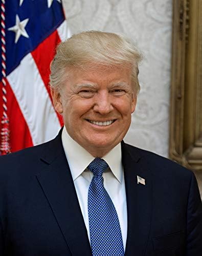 Donald J. Trump Fotó - a Történelmi Mű a 2017 - amerikai Elnök Portré - (11 x 14) - Matt