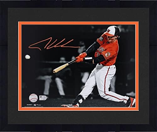 Keretes Adley Rutschman Baltimore Orioles Dedikált 11 x 14 Spotlight Fénykép - Dedikált MLB Fotók