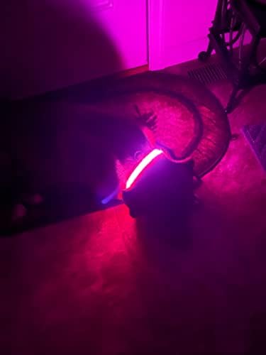 Hypno Kutya világít LED Nyakörv USB Újratölthető Éjszakai Biztonsági Nyakörv Kutyák részére 3 Méretben